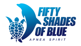 FIFTY SHADES OF BLUE Logo